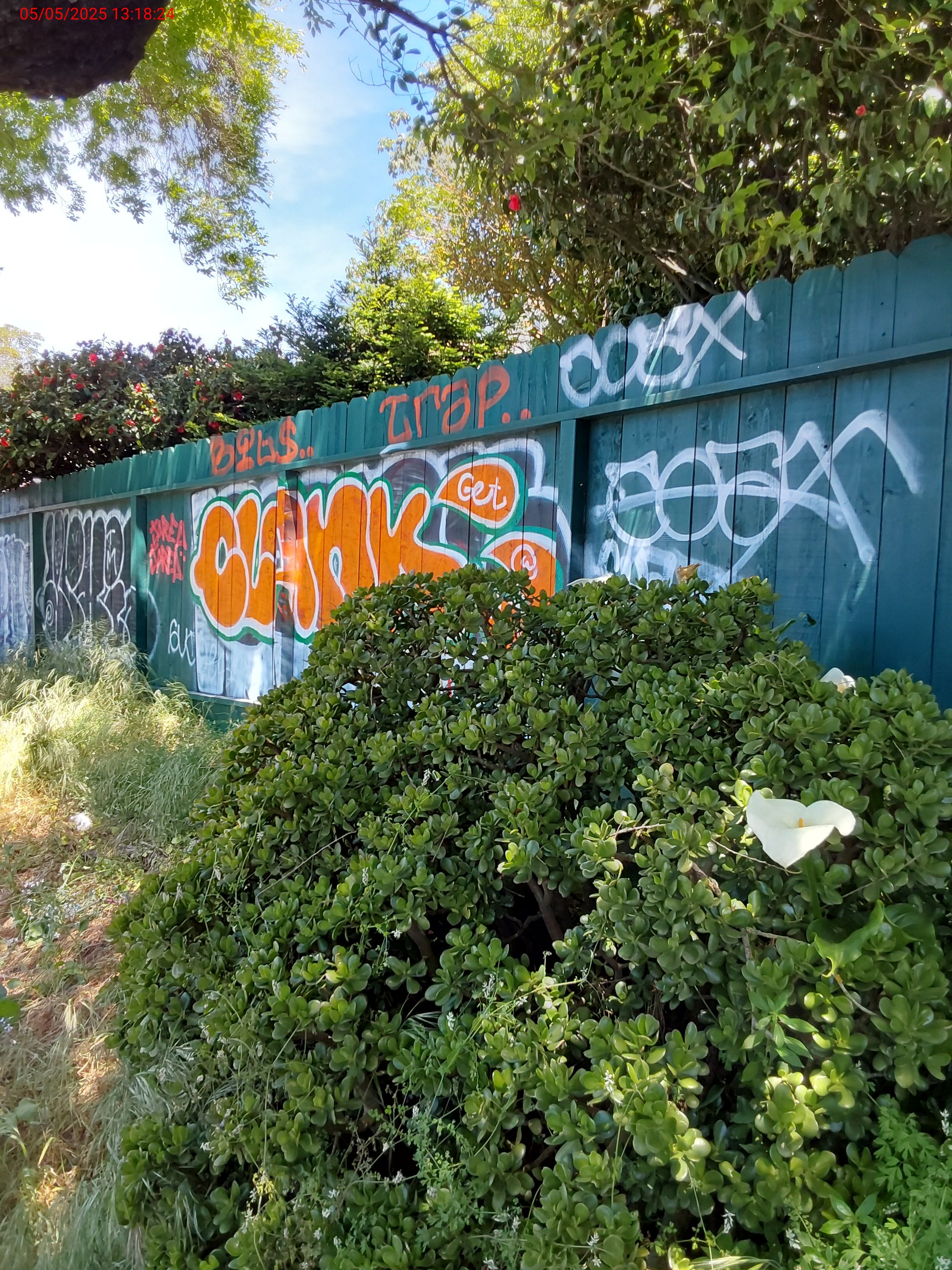 Graffiti at 280 DENSLOWE DR