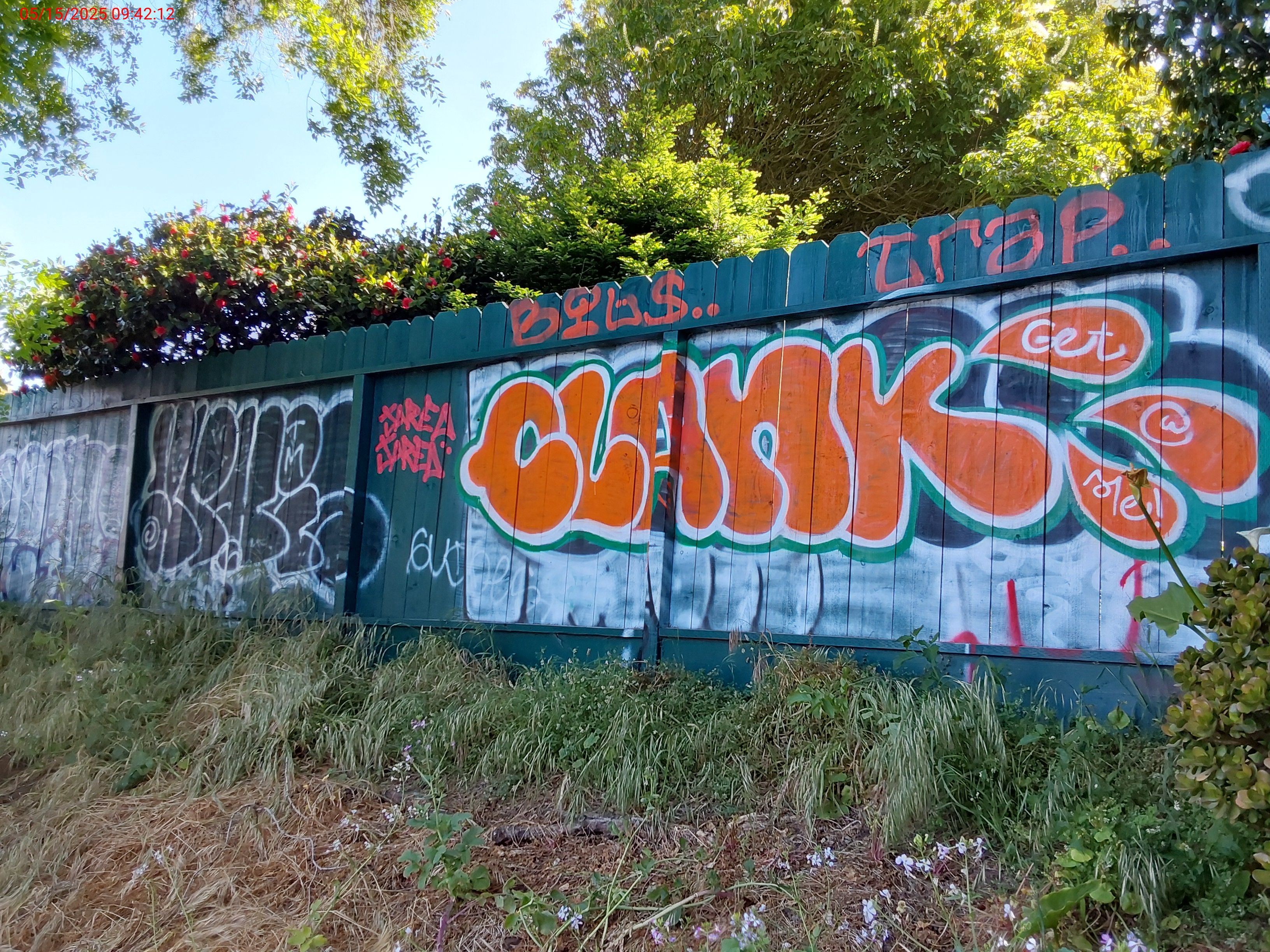 Graffiti at 280 DENSLOWE DR