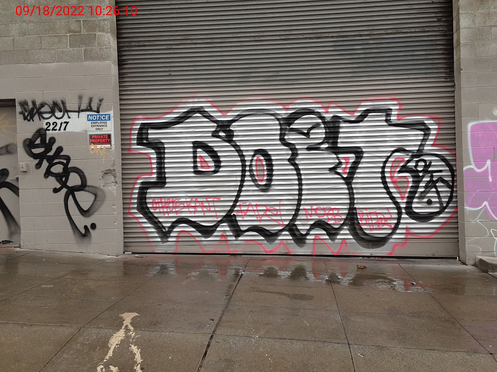 Graffiti at 2217 Revere Ave