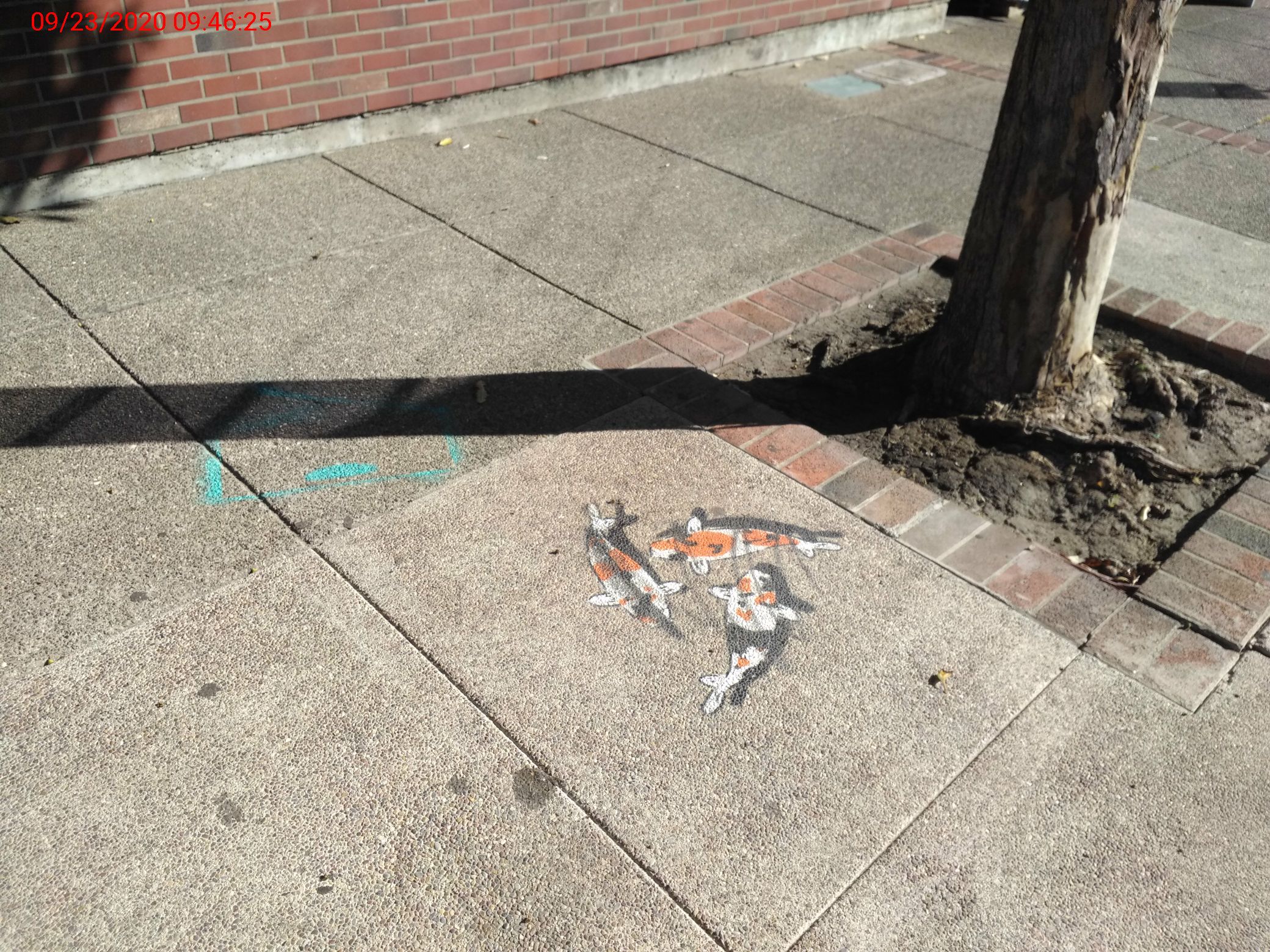 Graffiti at 550 15th St