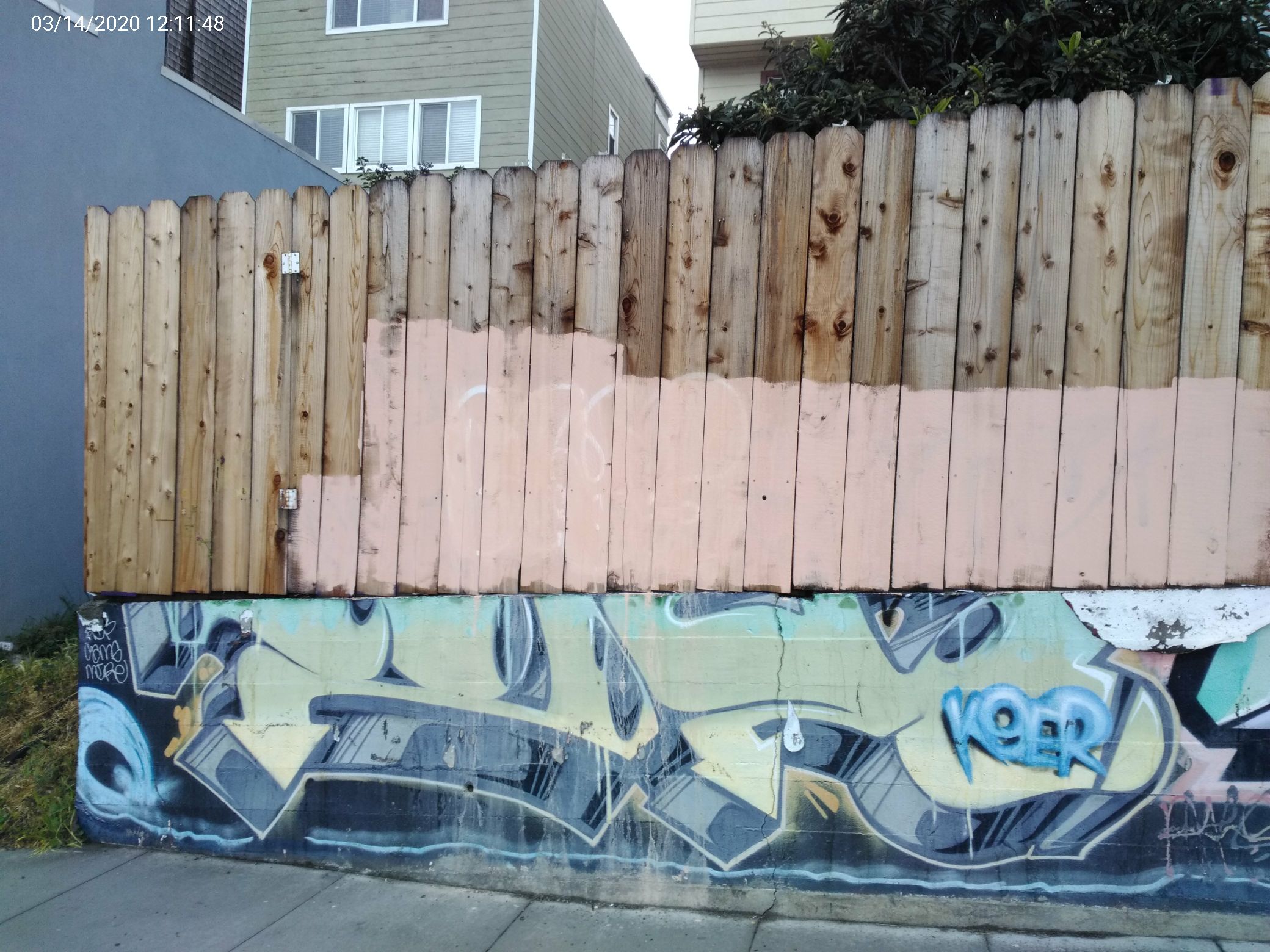 Graffiti at 59 CAMPBELL AVE
