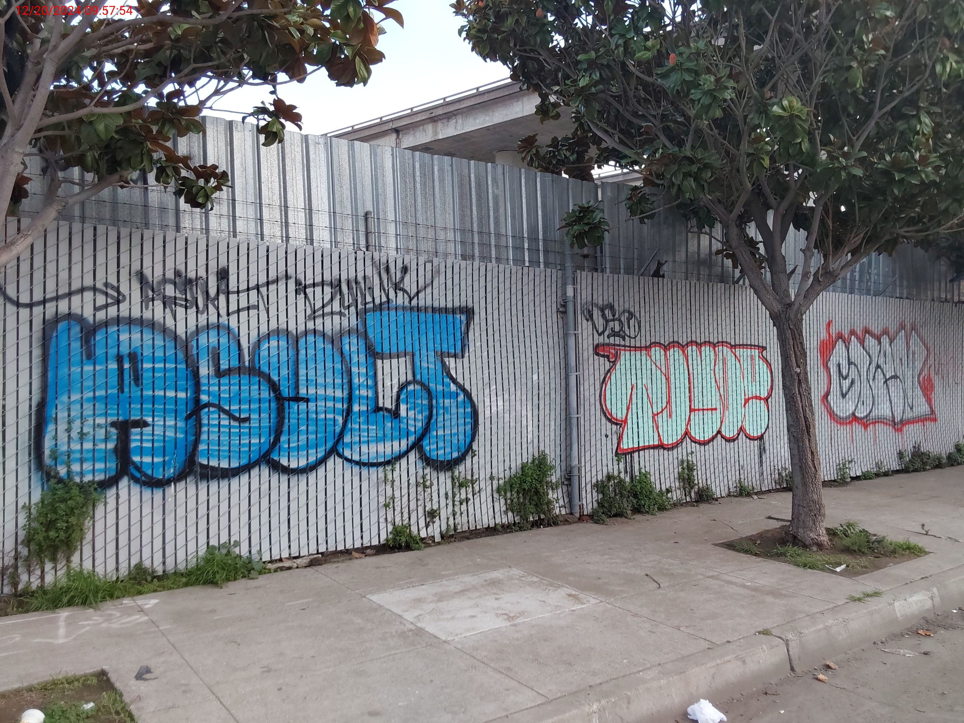 Graffiti at 55 NAPOLEON ST