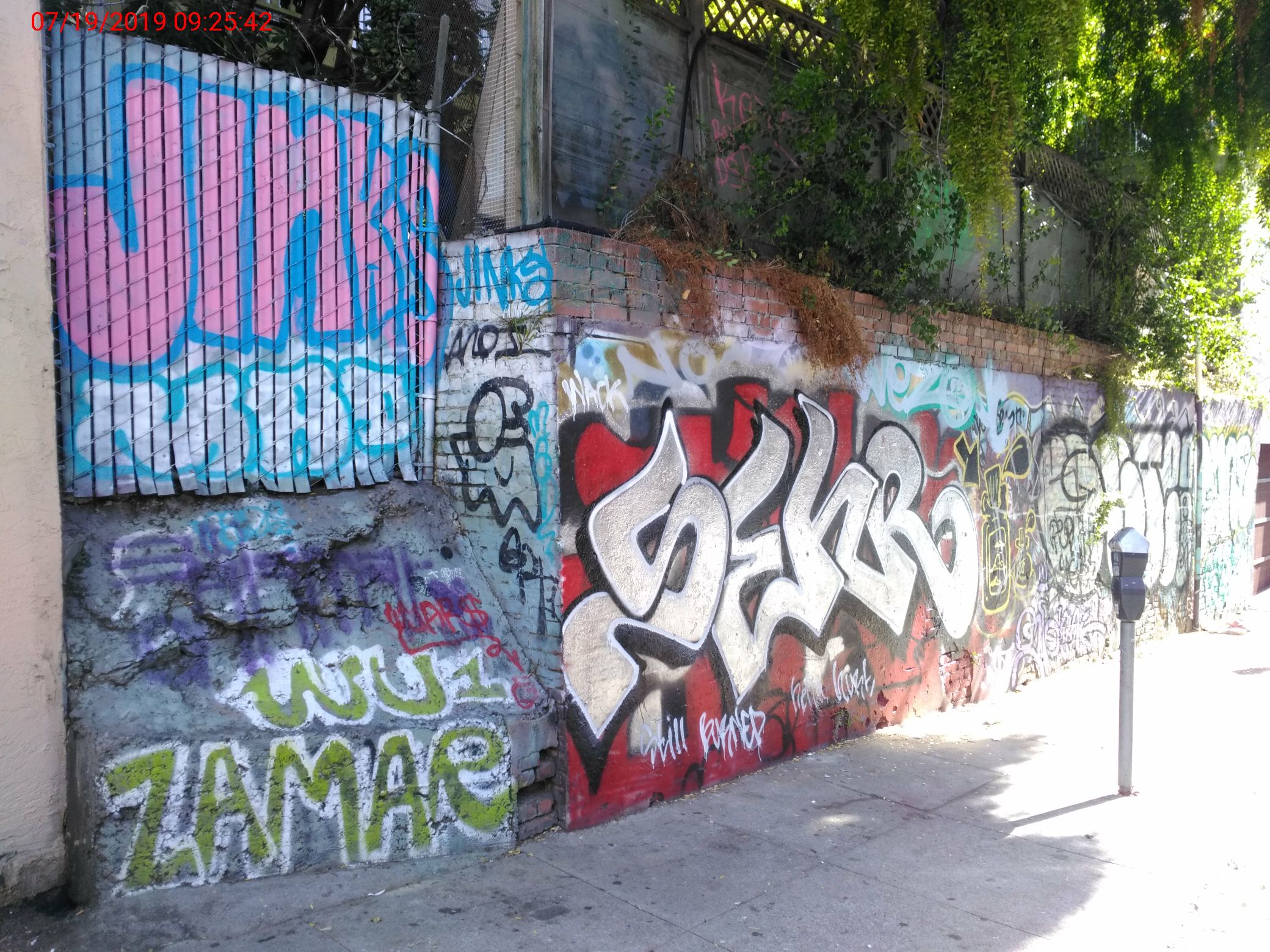 Graffiti at 819 Eddy St