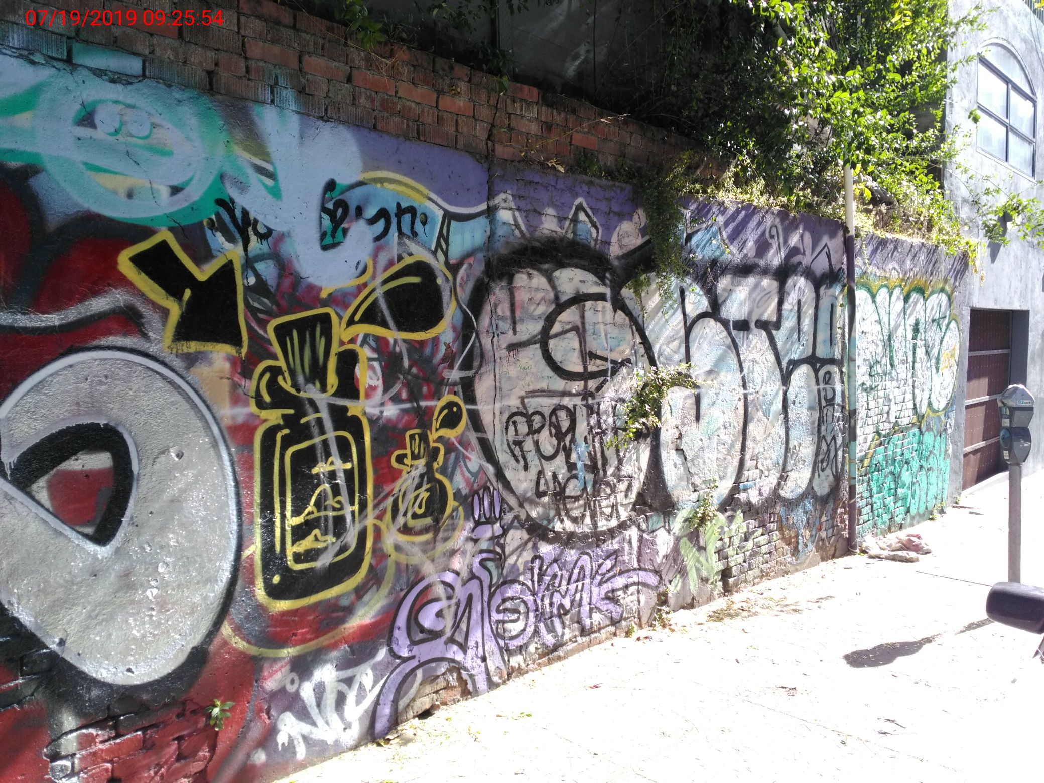 Graffiti at 819 Eddy St