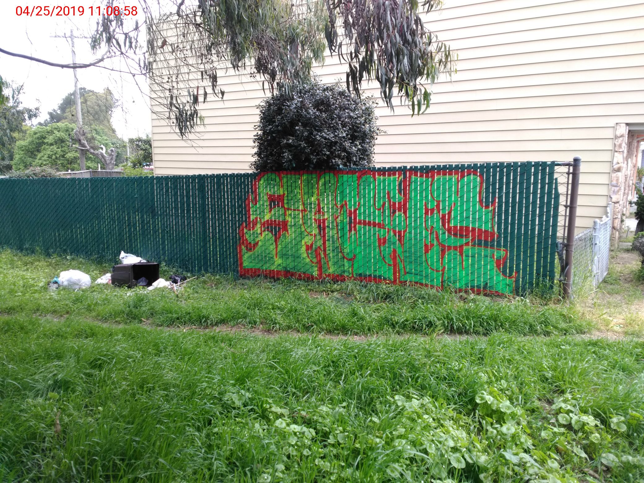 Graffiti at 143 ORIZABA AVE