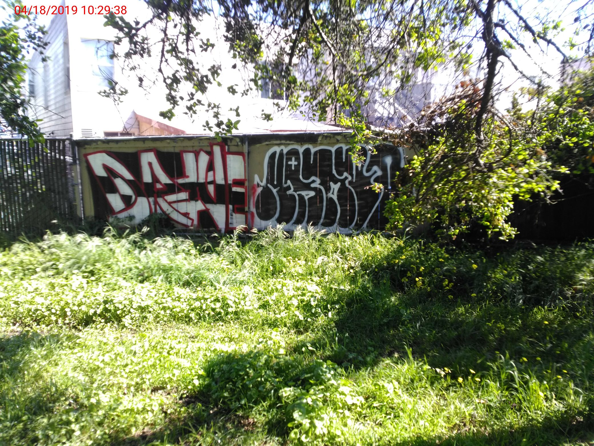 Graffiti at 41 STANLEY ST