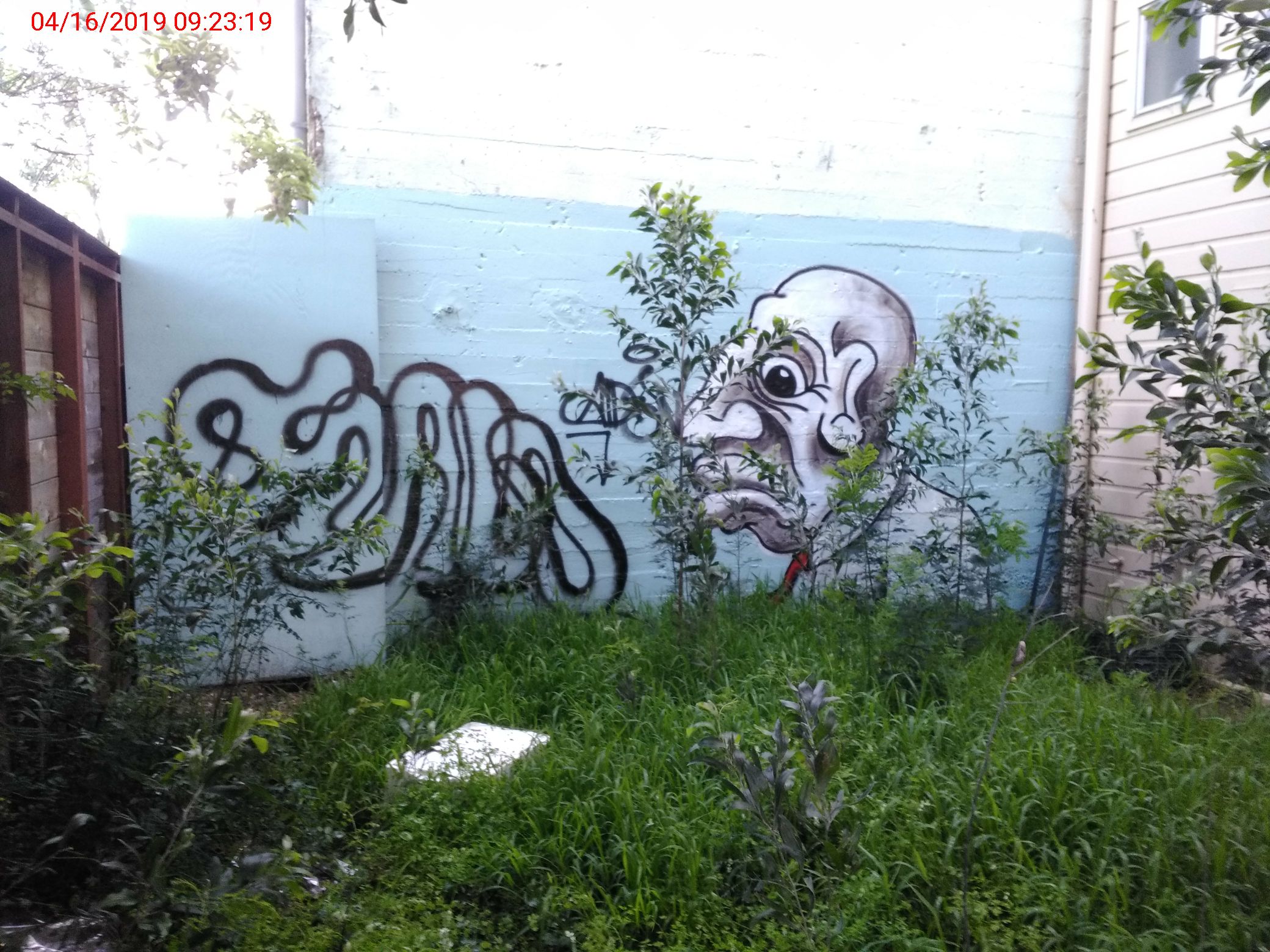 Graffiti at 190 WEST PORTAL AVE