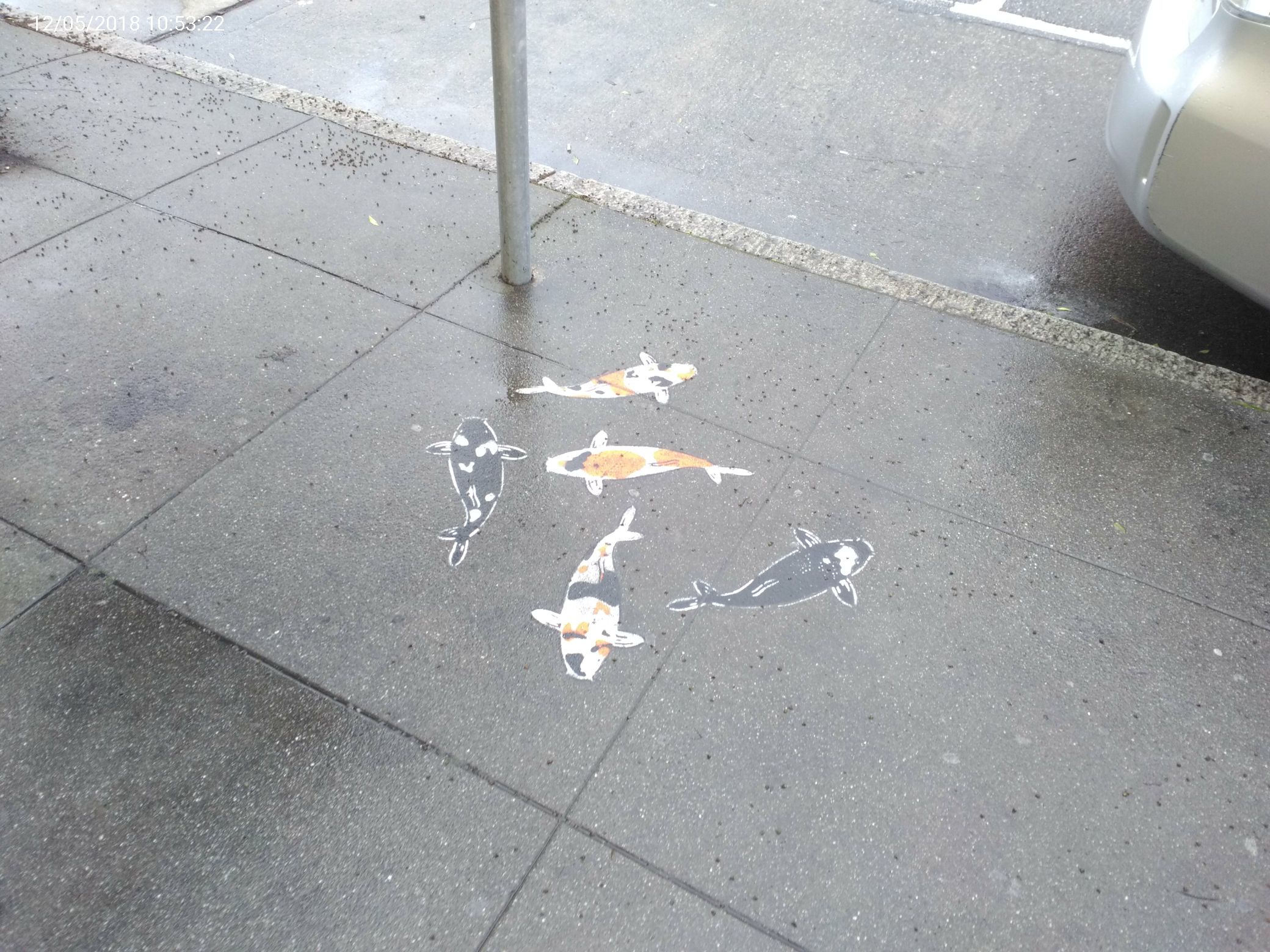 Graffiti at 401 BALBOA ST