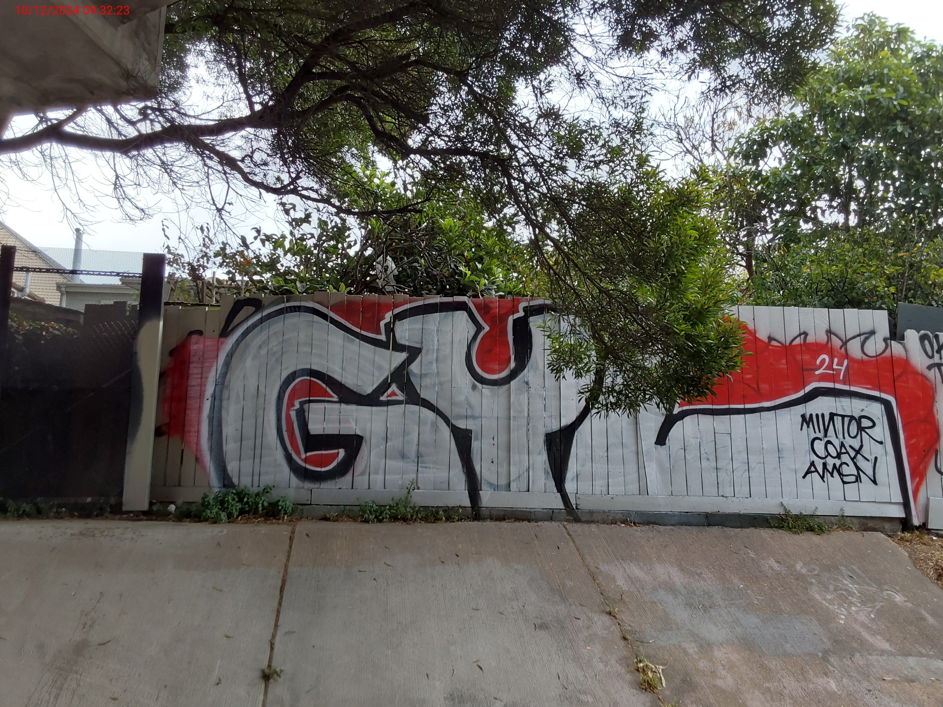 Graffiti at 216 CHARTER OAK AVE