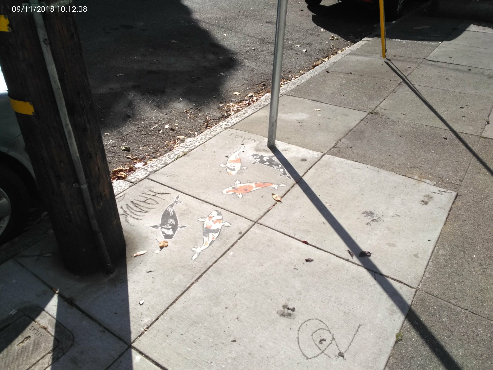 Graffiti at 1601 FULTON ST