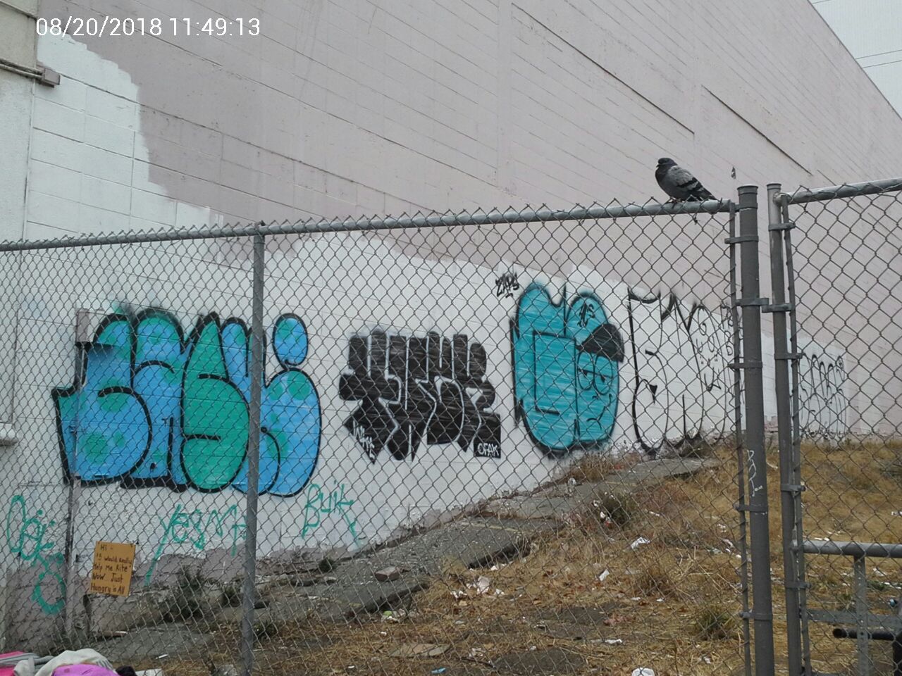 Graffiti at 860 Eddy St