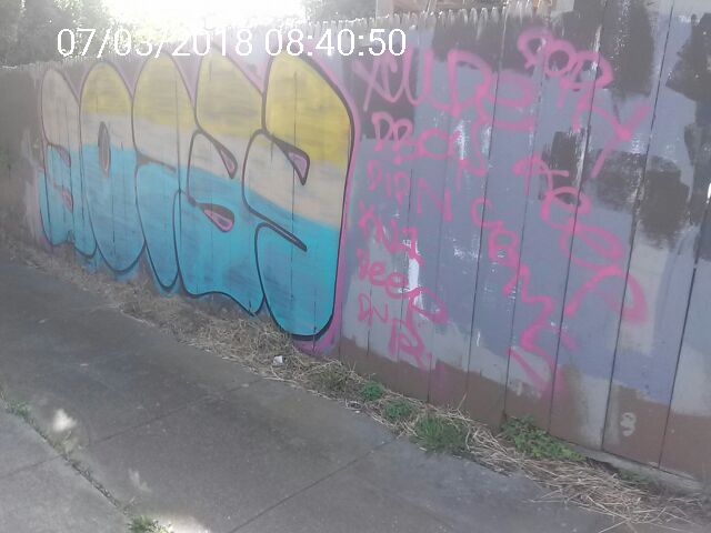 Graffiti at 66 Paulding St