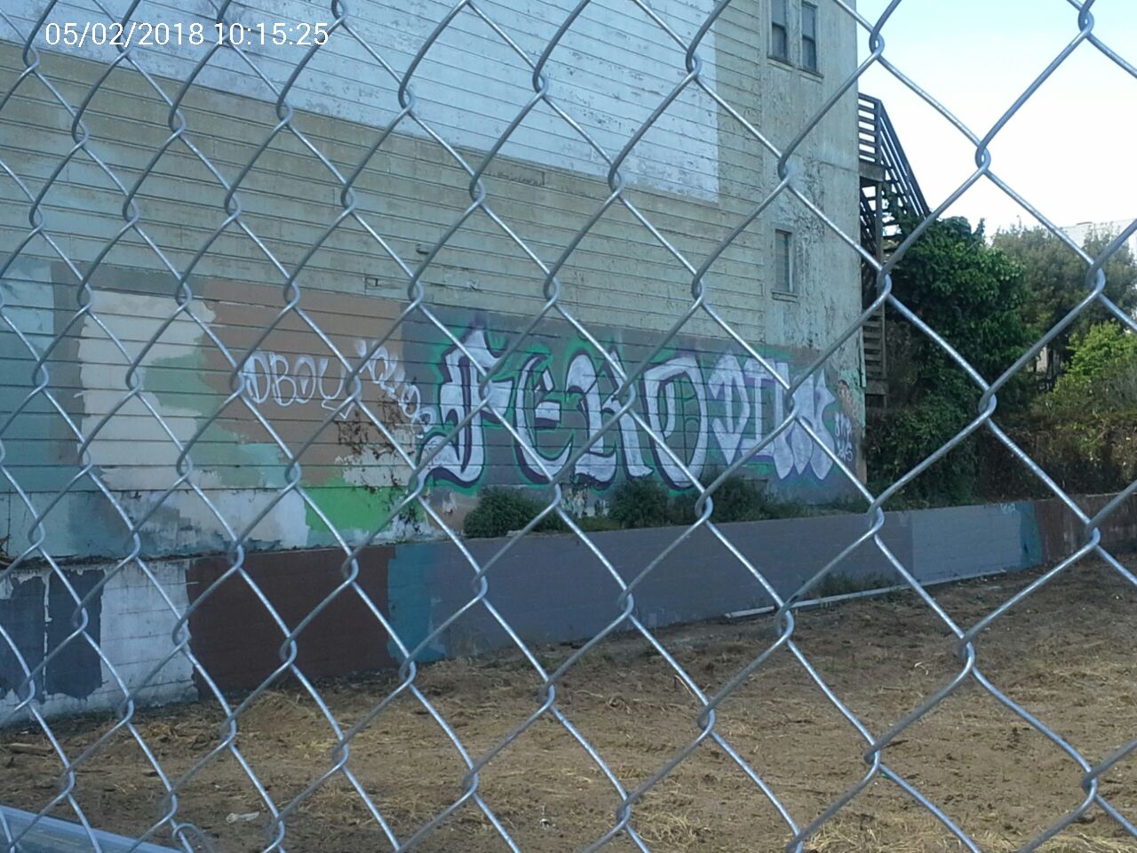 Graffiti at 3119 Pierce St