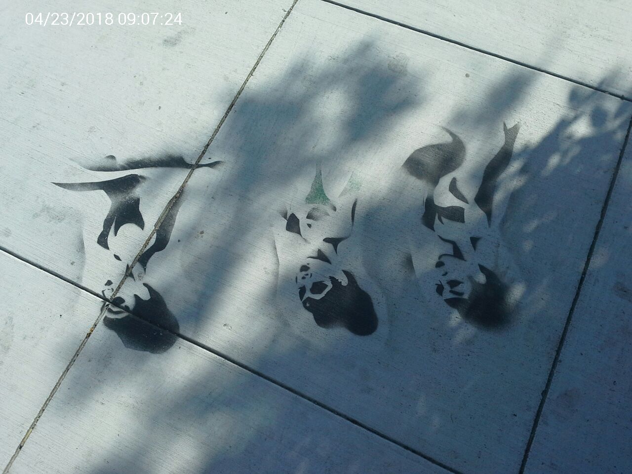 Graffiti at 363 LYON ST