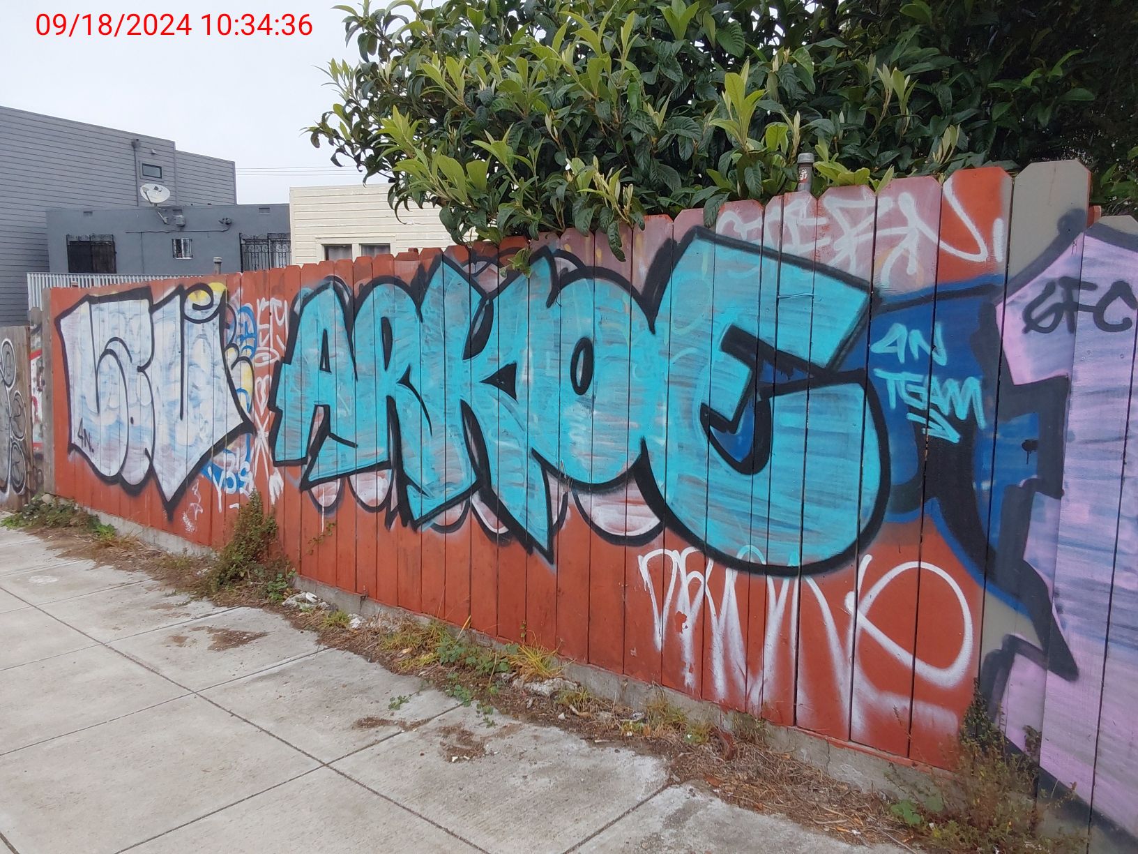 Graffiti at 281 SAGAMORE ST