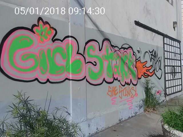 Graffiti at 222 Dore St