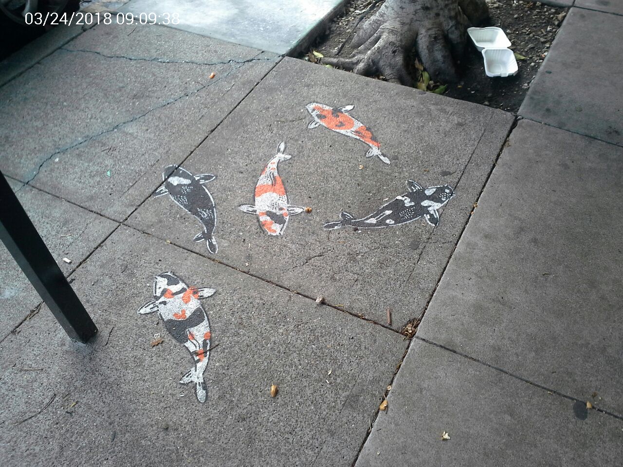 Graffiti at 1349 Larkin St