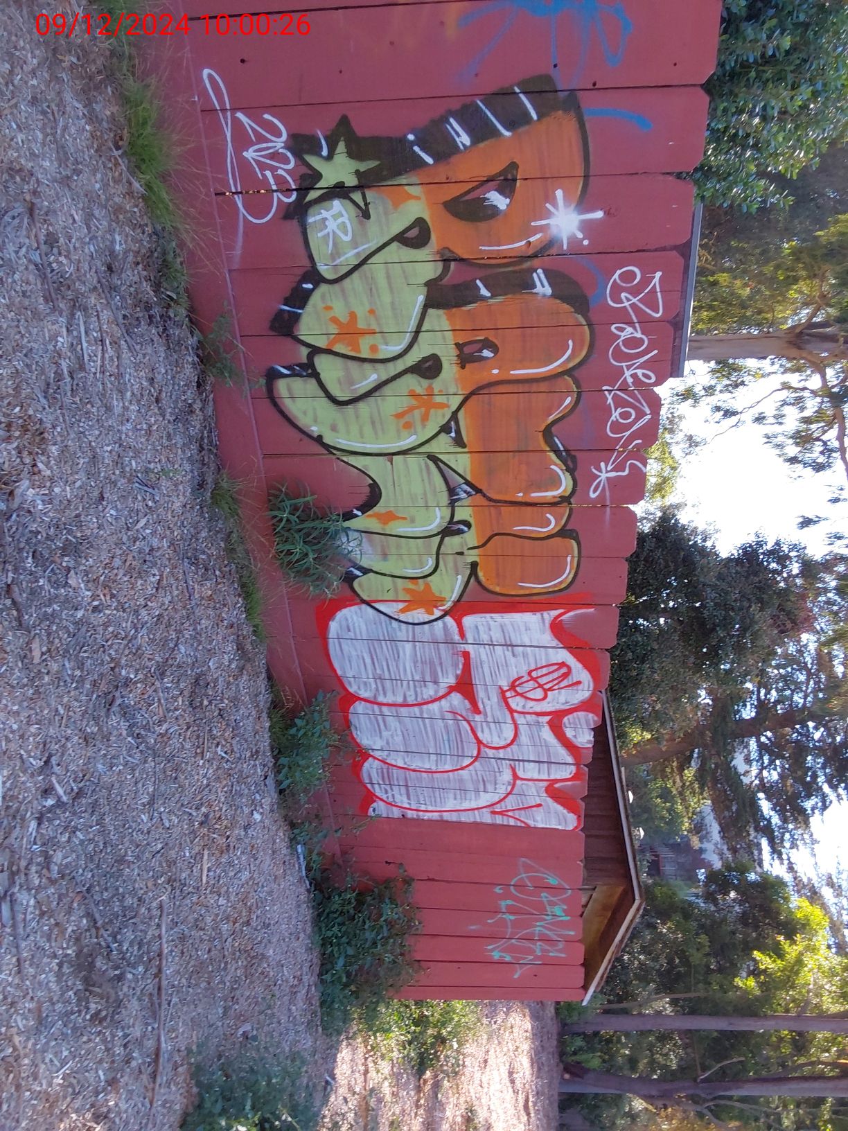 Graffiti at 1291 BOSWORTH ST