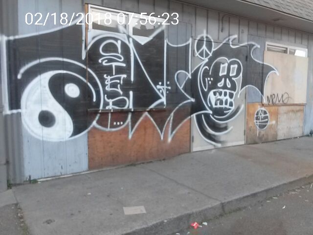 Graffiti at 16 TOLAND ST