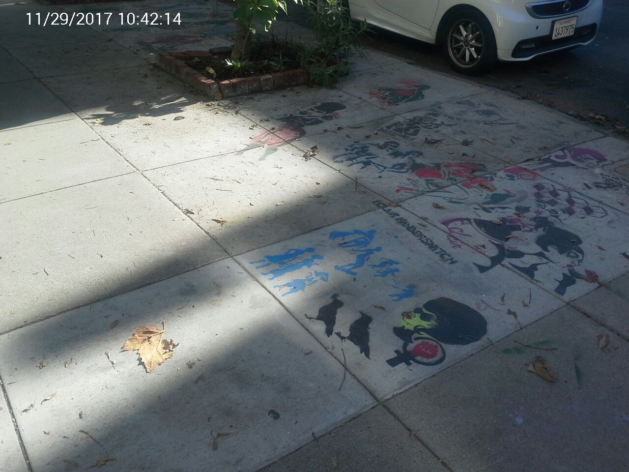 Graffiti at 1260 Page St