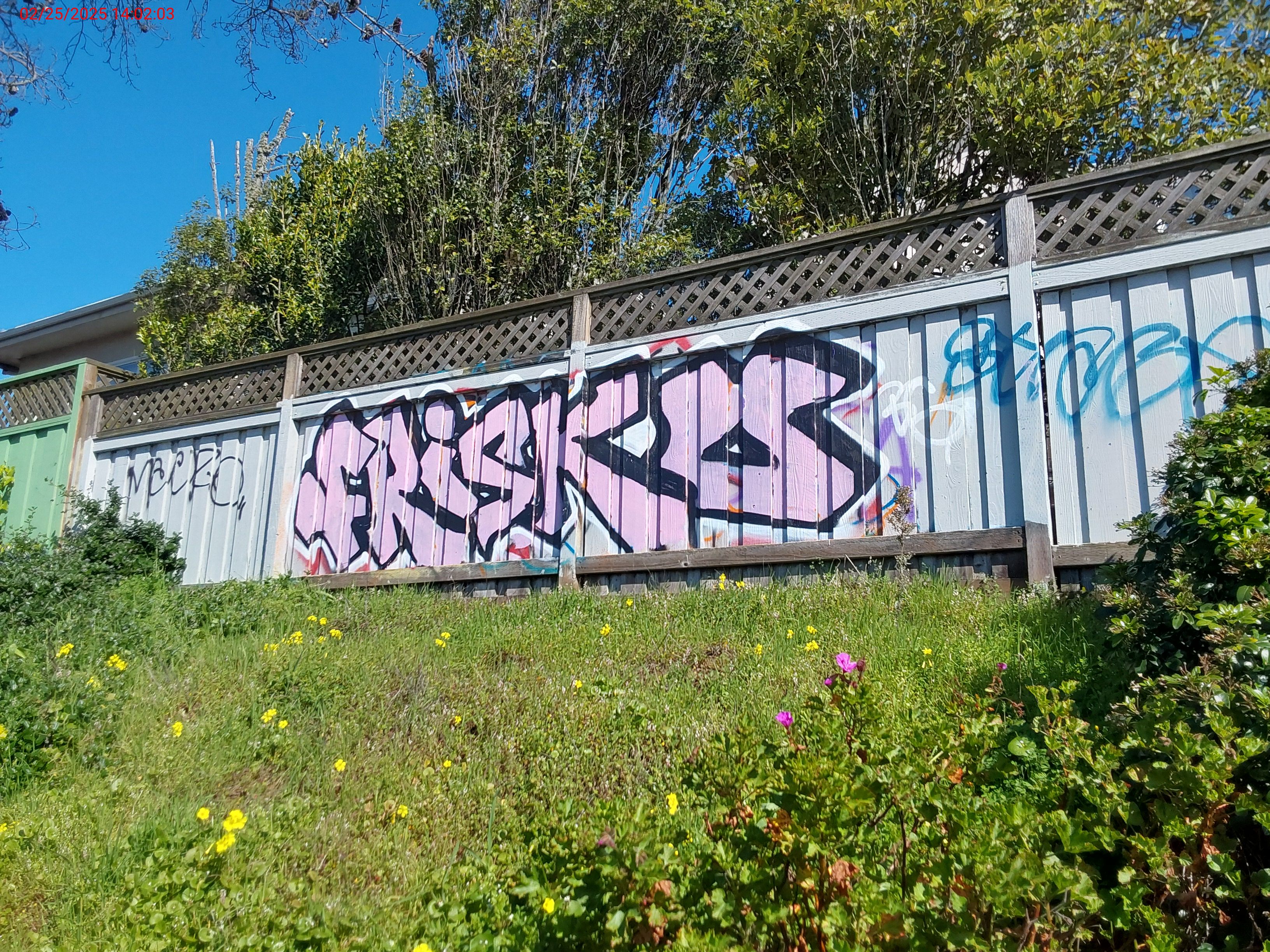 Graffiti at 230 STONECREST DR