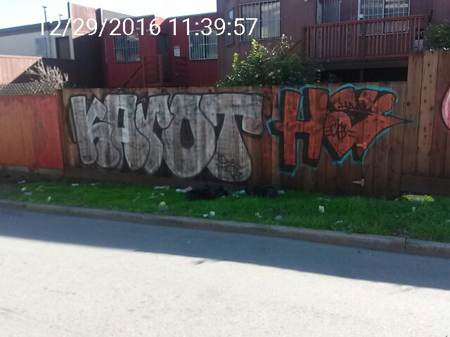 Graffiti at 3014 ALEMANY BLVD