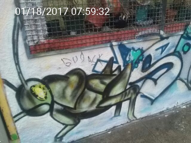 Graffiti at 637 Minna St