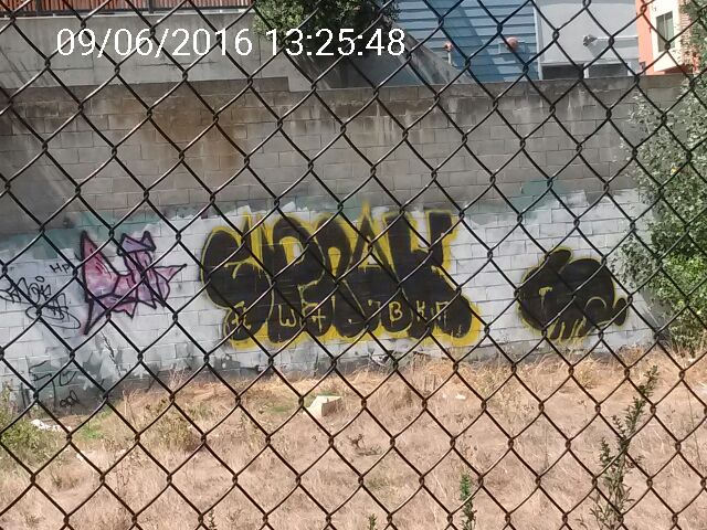 Graffiti at 103 Walbridge St