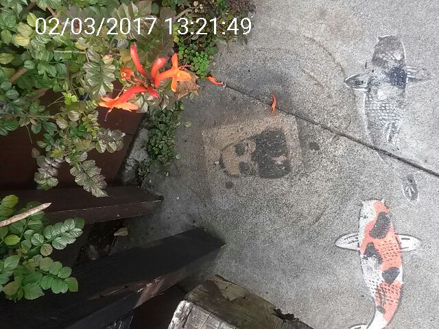 Graffiti at 2298 MARKET ST