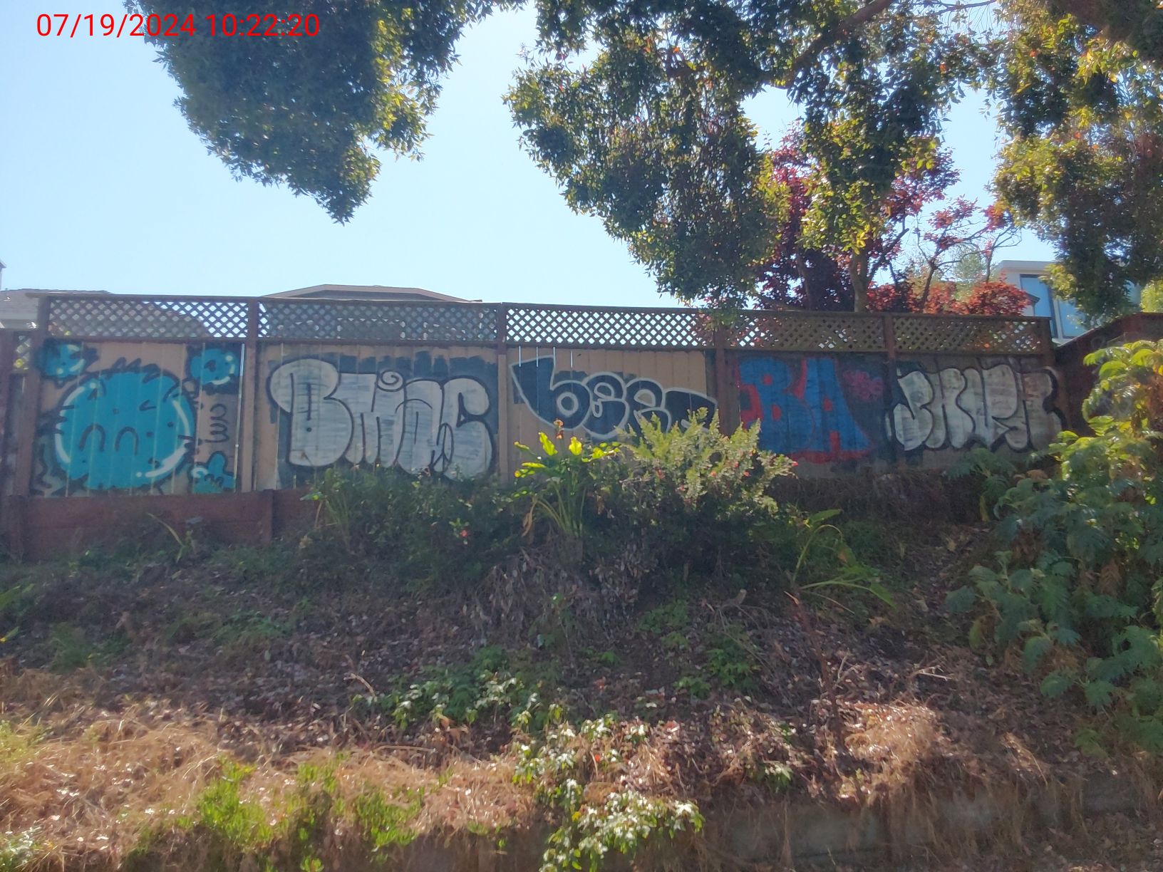 Graffiti at 172 DENSLOWE DR