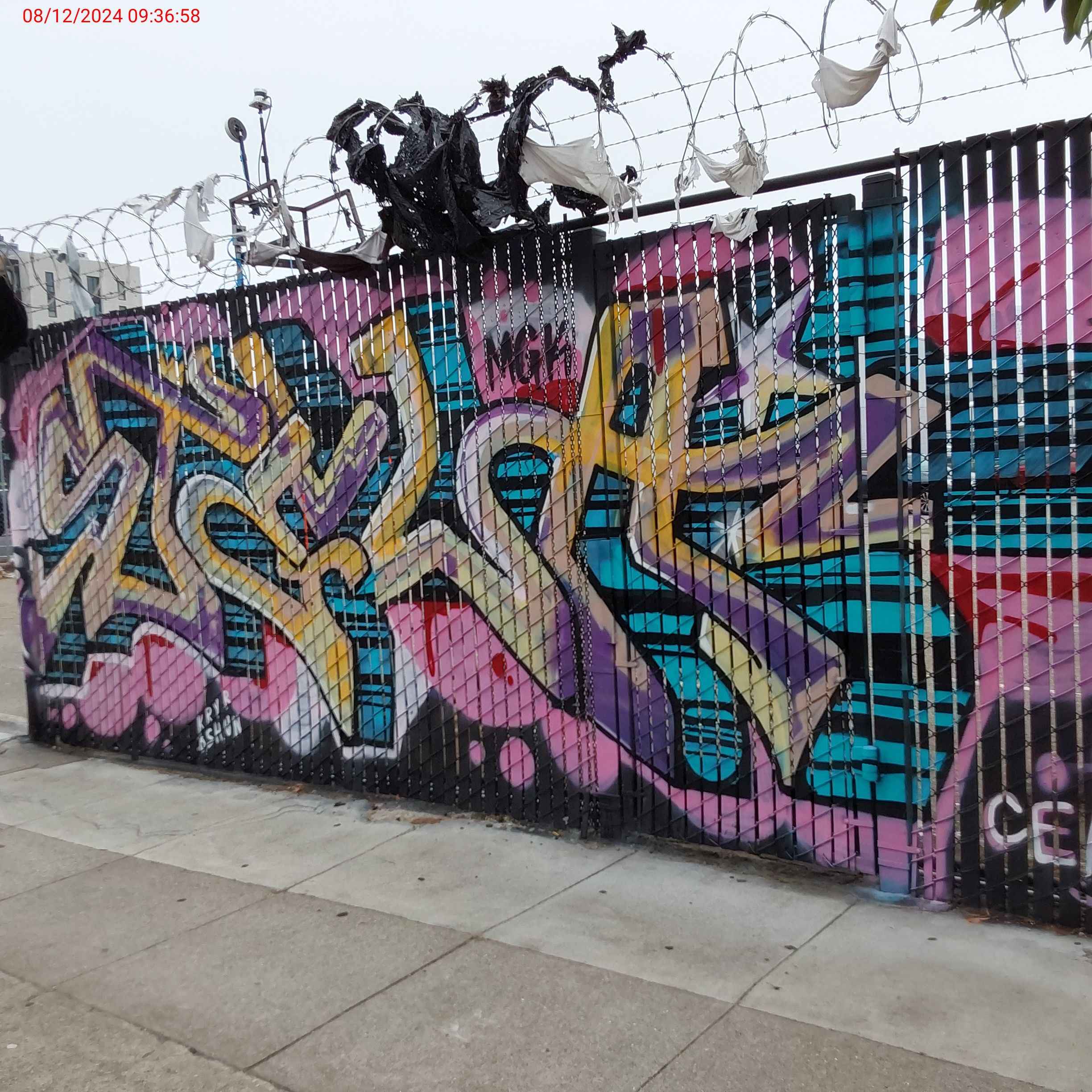 Graffiti at 398 Treat Ave