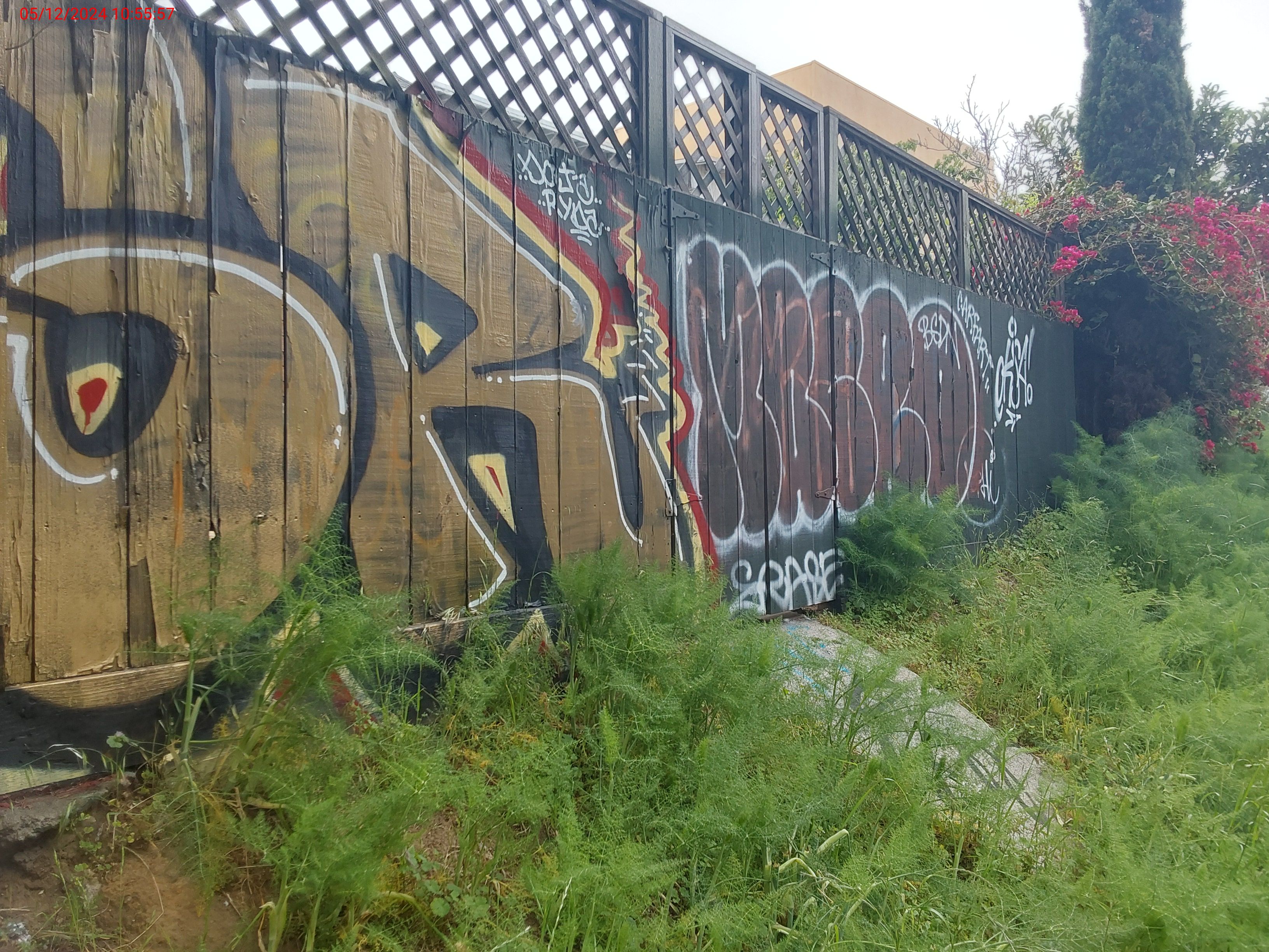 Graffiti at 250 CHARTER OAK AVE