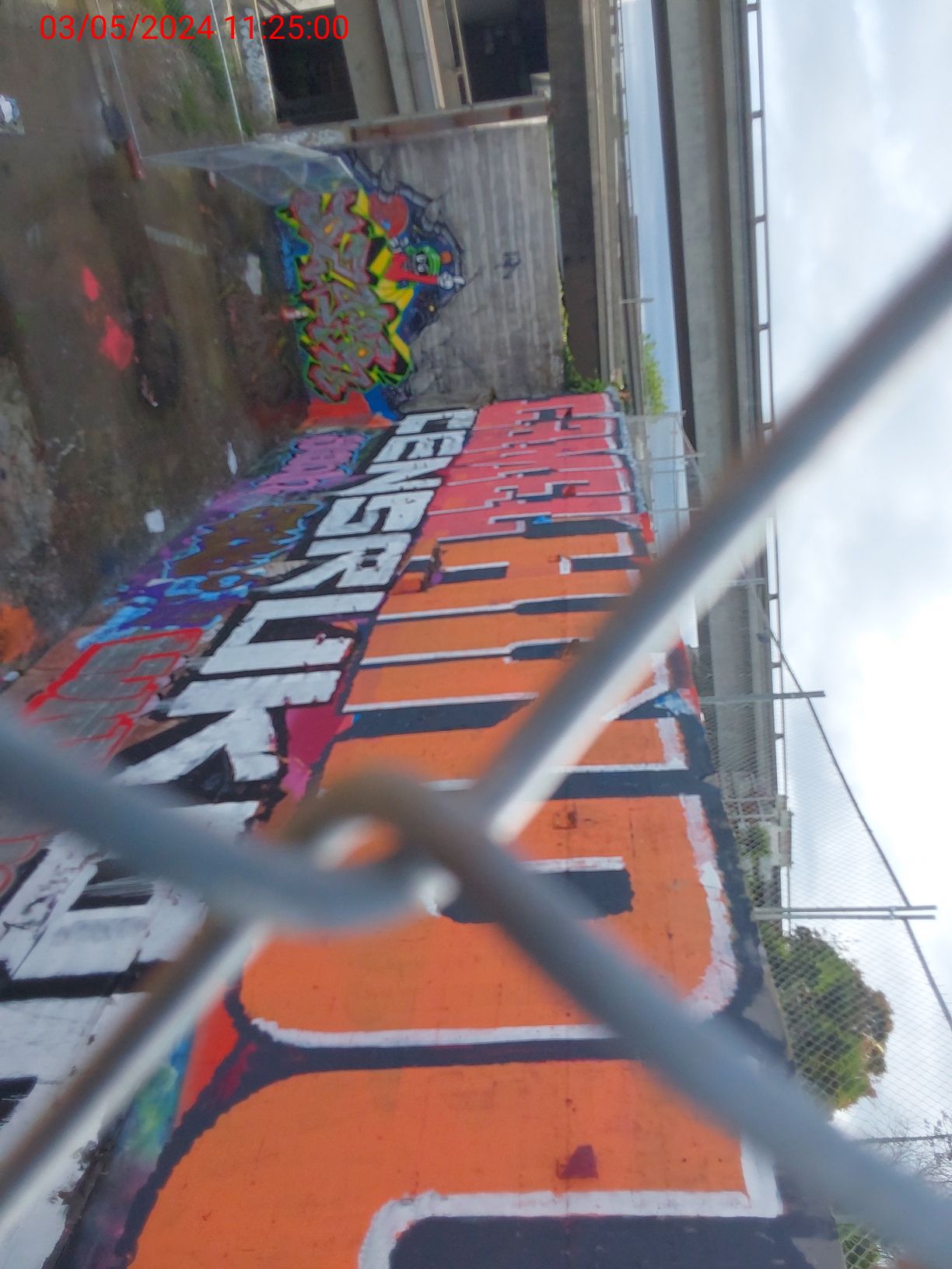 Graffiti at 935 Mariposa St