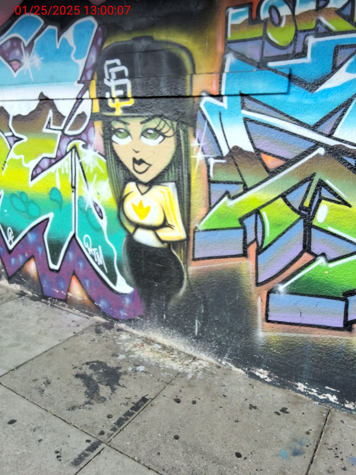 Graffiti at 2695 San Bruno Ave