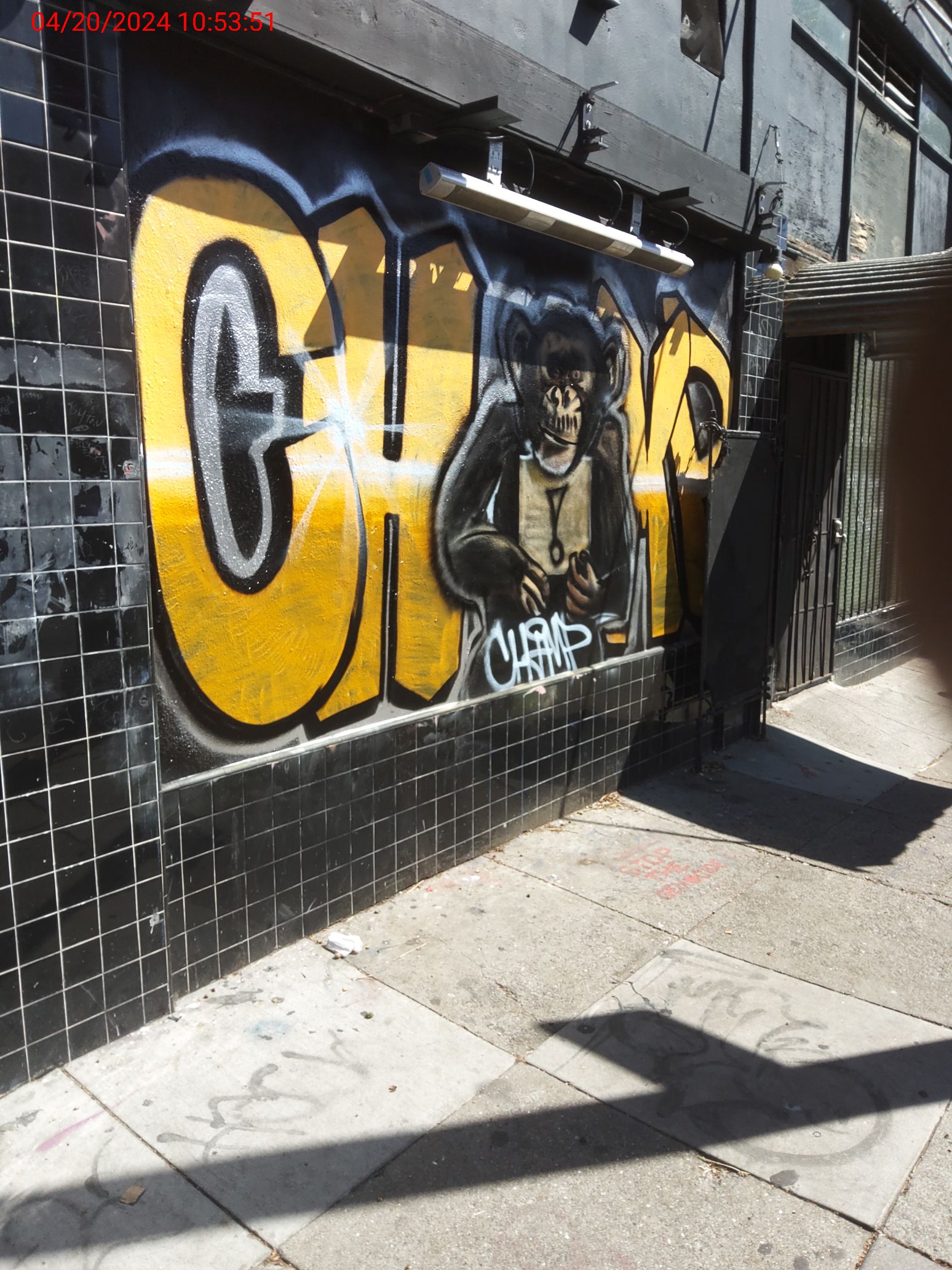 Graffiti at 3390 18th St