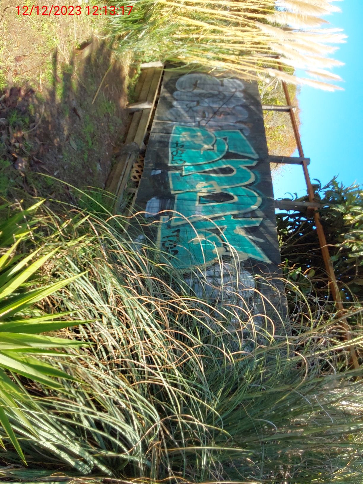 Graffiti at 105 BEVERLY ST