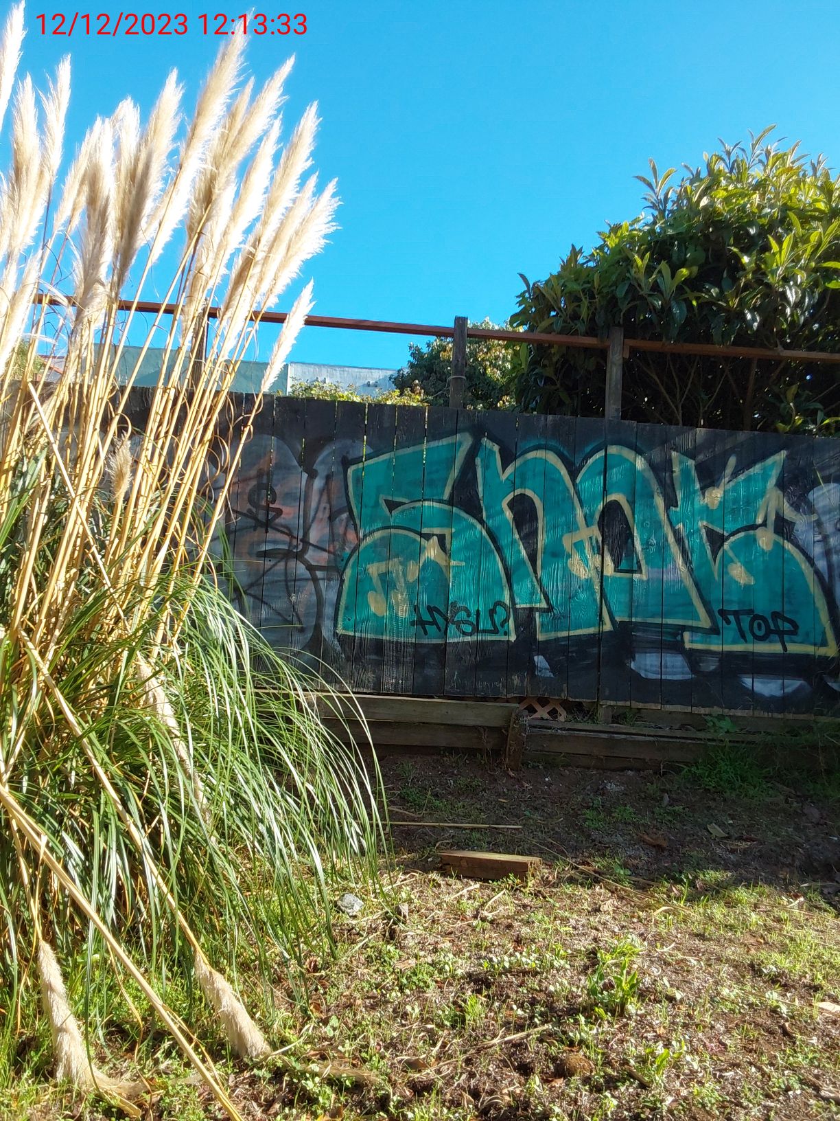 Graffiti at 105 BEVERLY ST