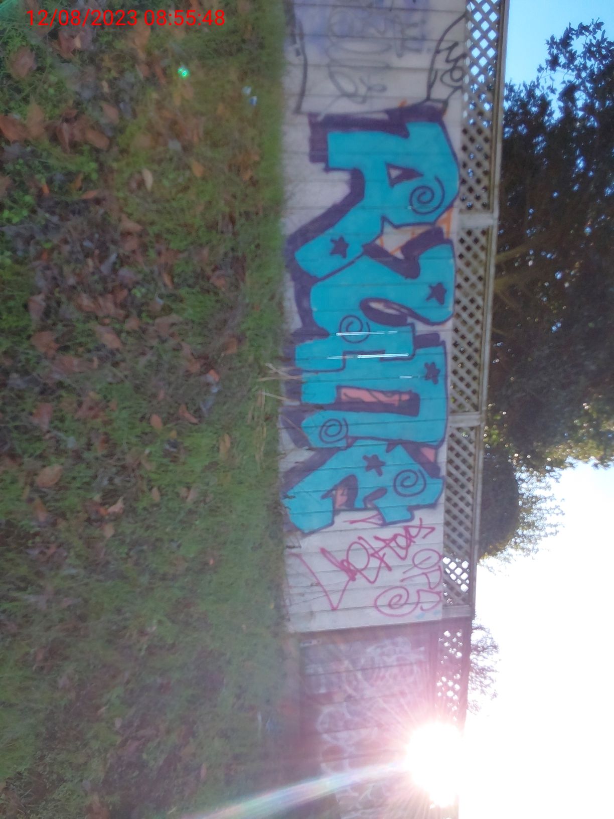 Graffiti at 152 STONECREST DR