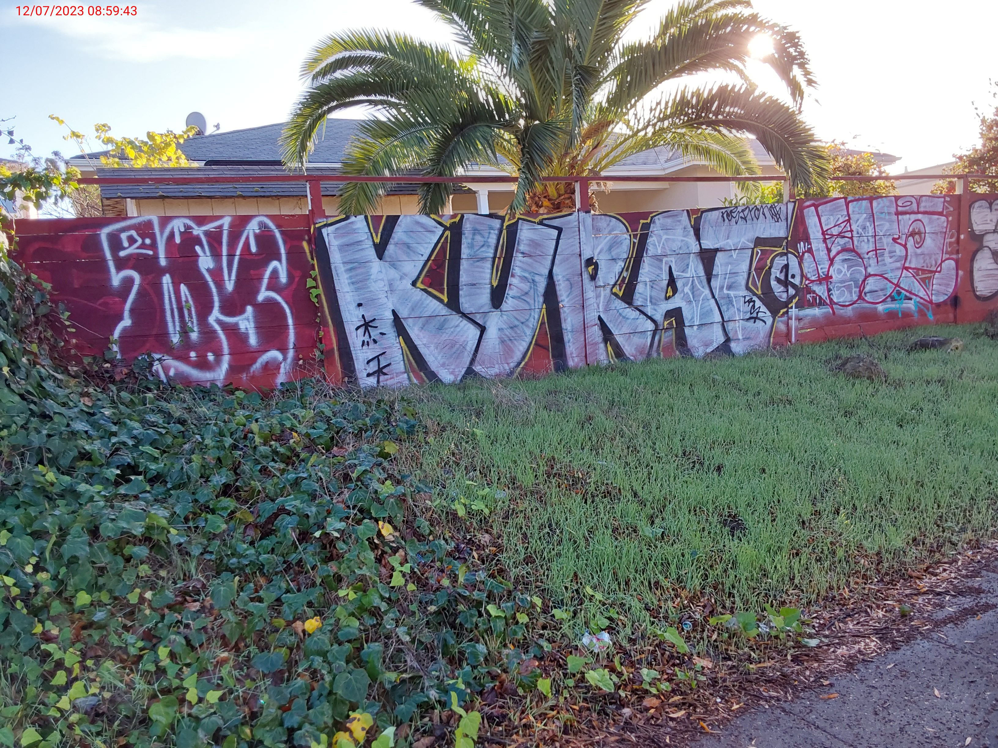 Graffiti at 56 DENSLOWE DR