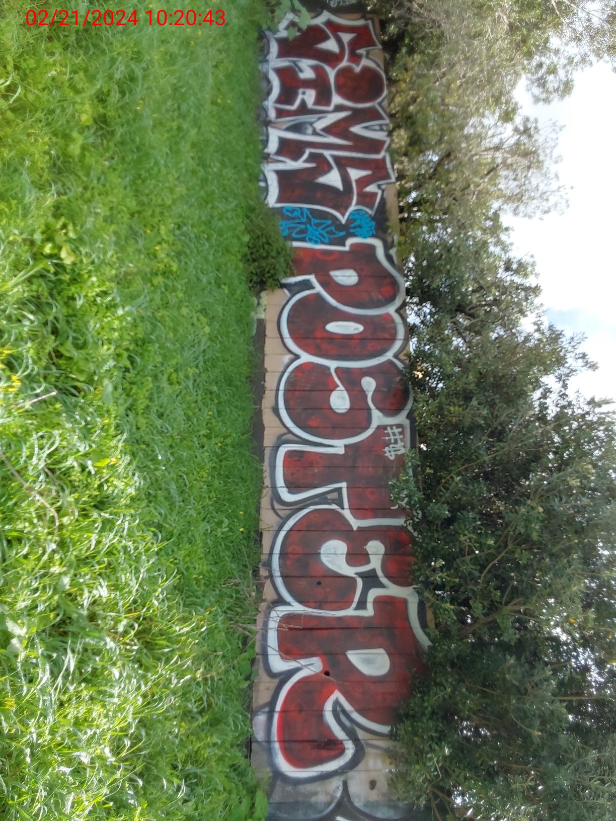 Graffiti at 70 DENSLOWE DR