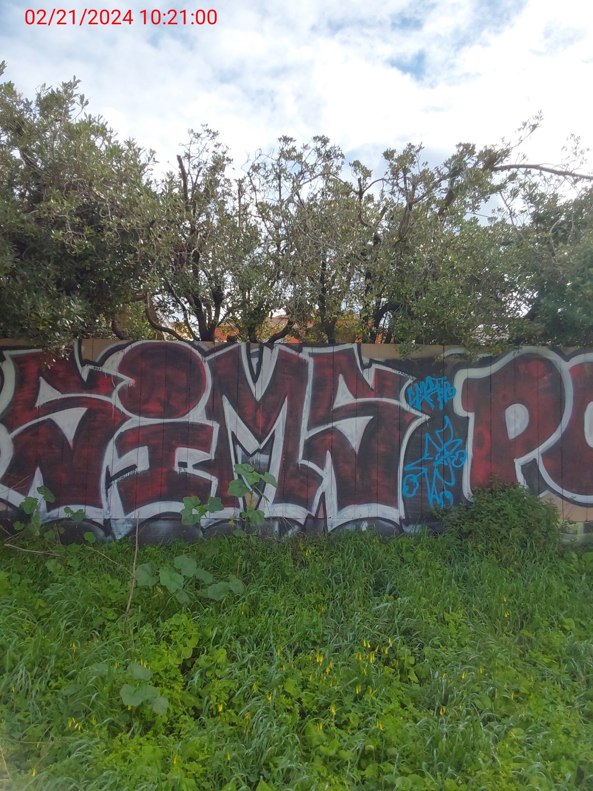 Graffiti at 70 DENSLOWE DR