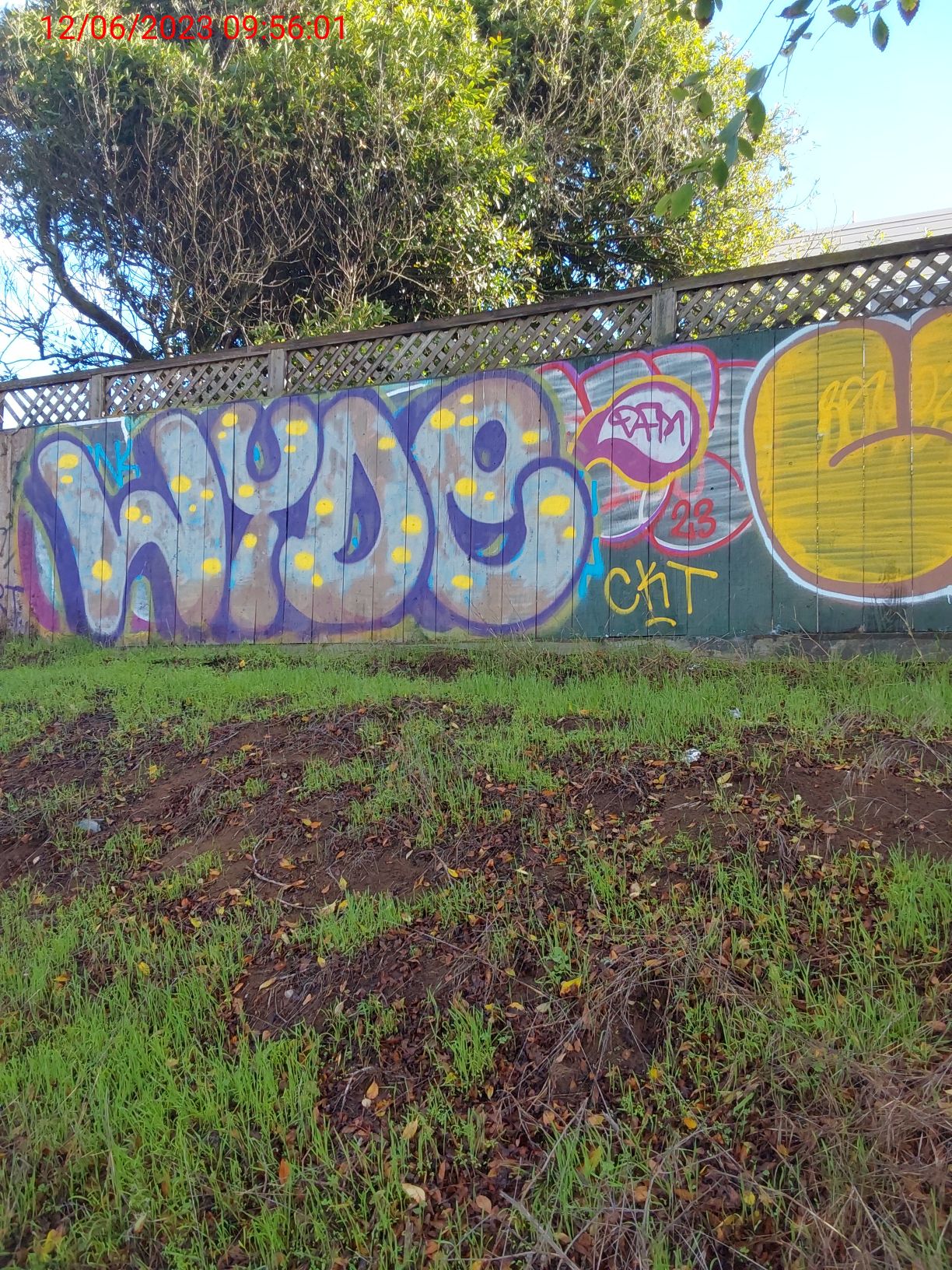 Graffiti at 250 DENSLOWE DR