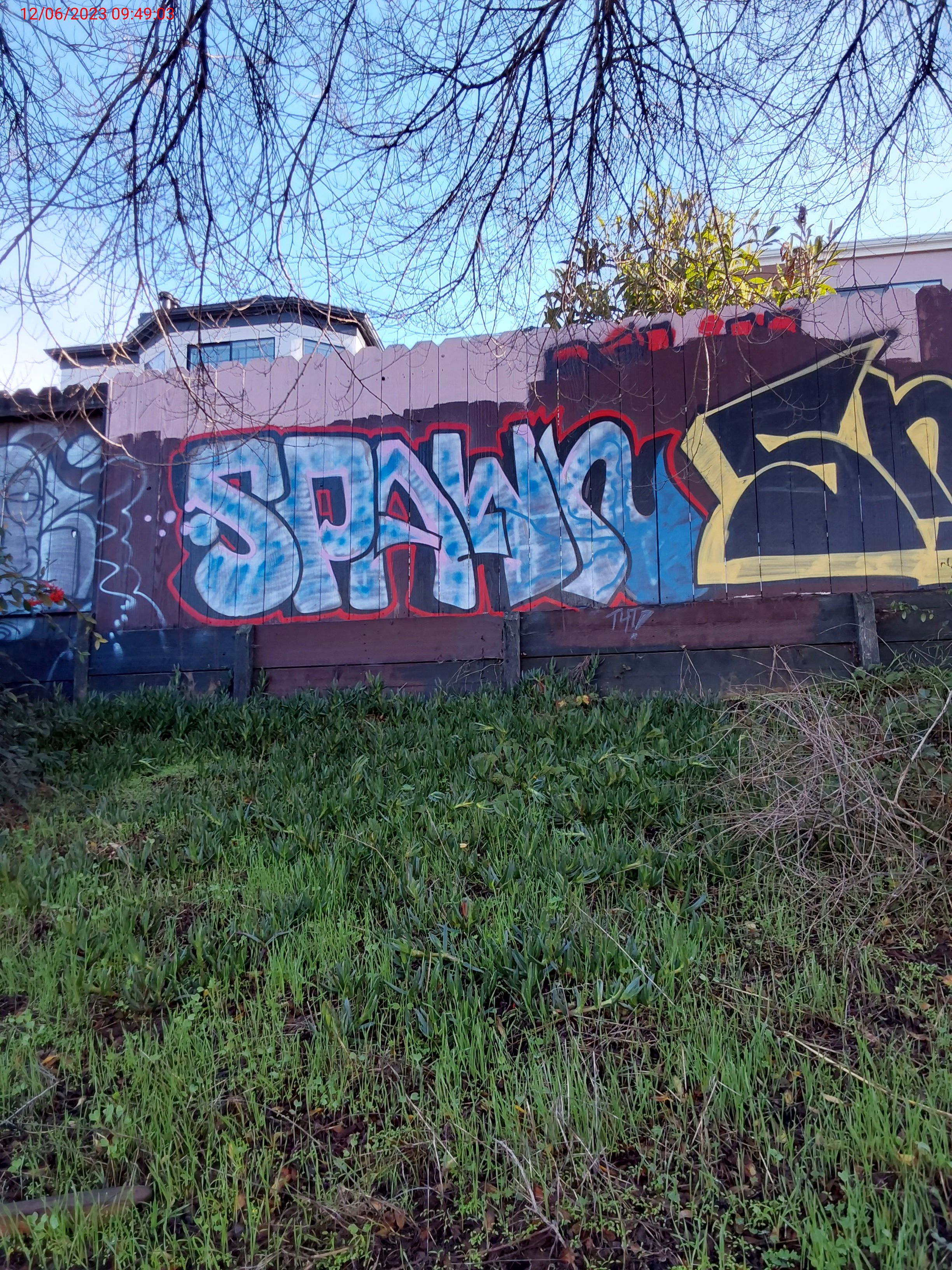 Graffiti at 220 DENSLOWE DR