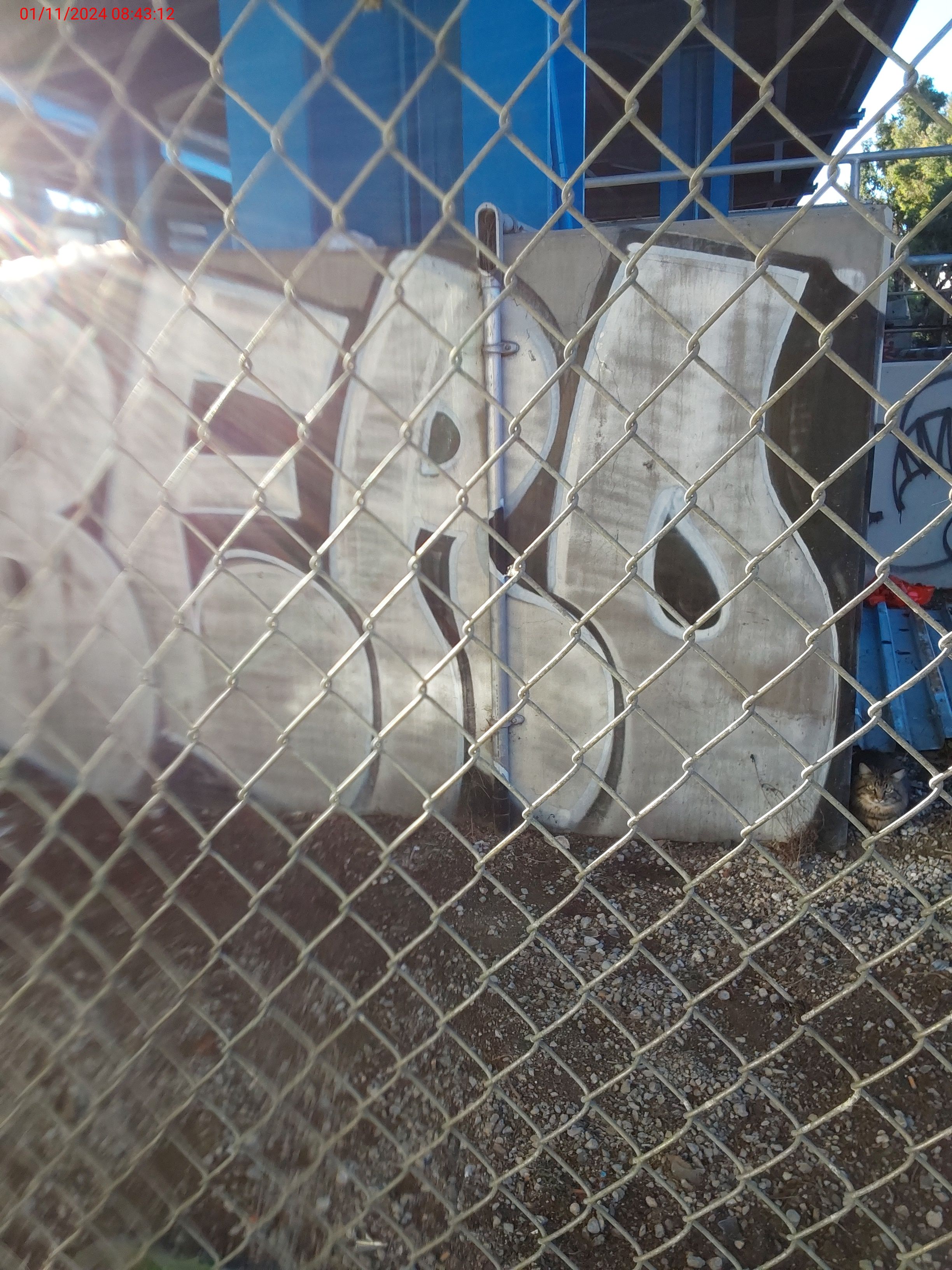 Graffiti at 295 San Bruno Ave