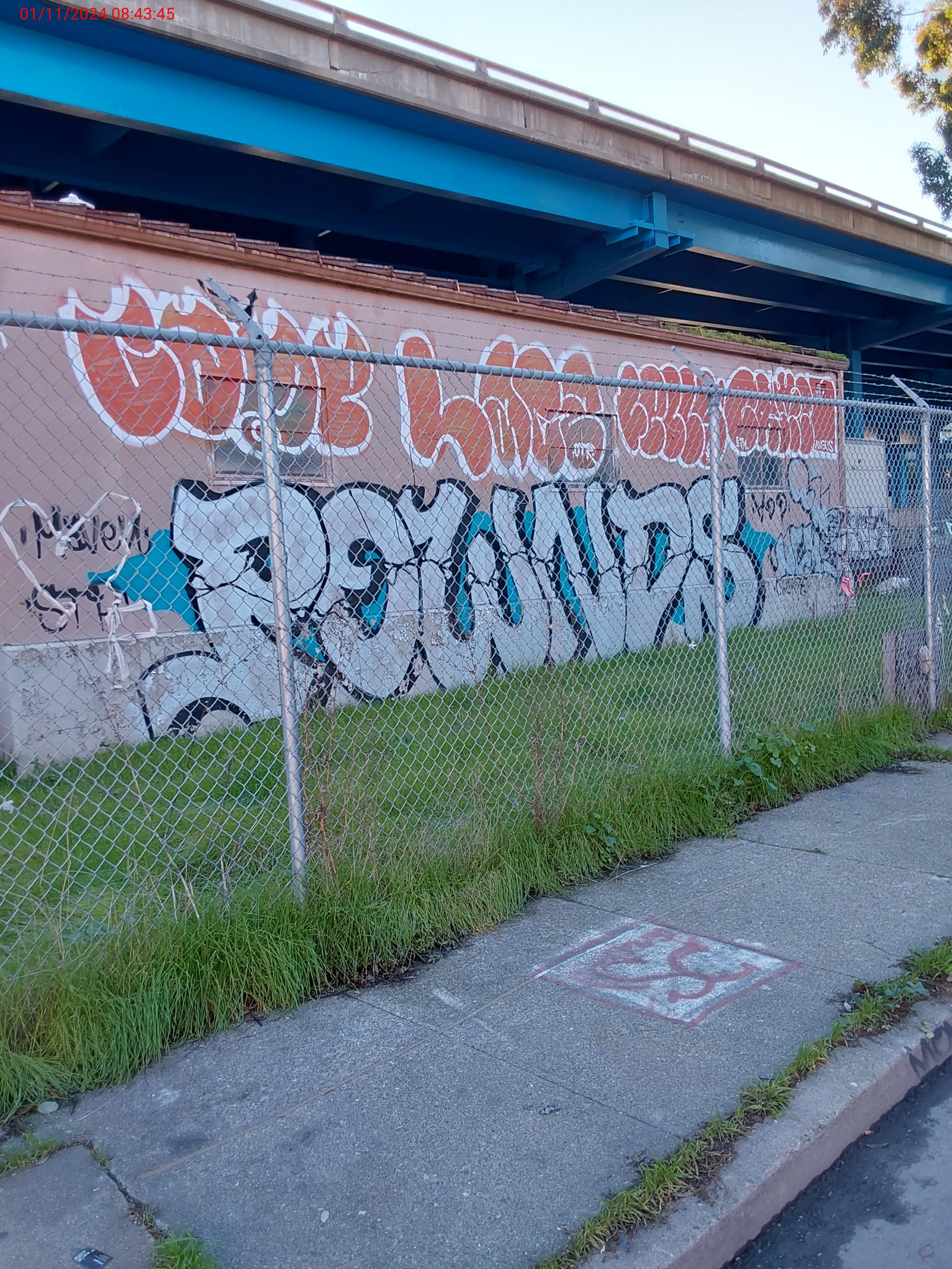 Graffiti at 295 San Bruno Ave