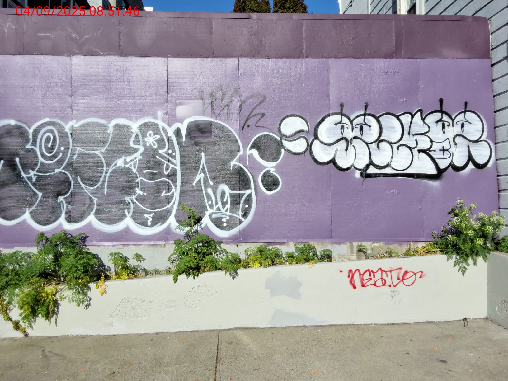 Graffiti at 3810 24th St
