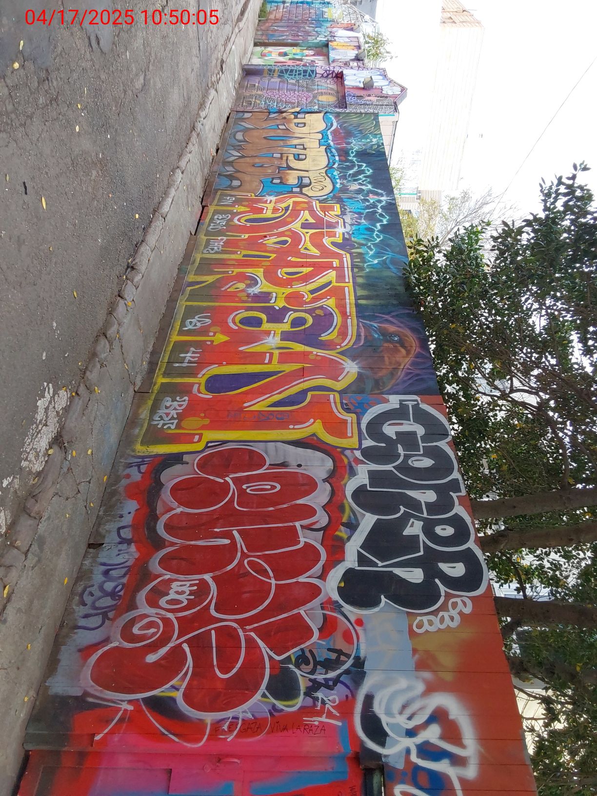 Graffiti at 166 JULIAN AVE