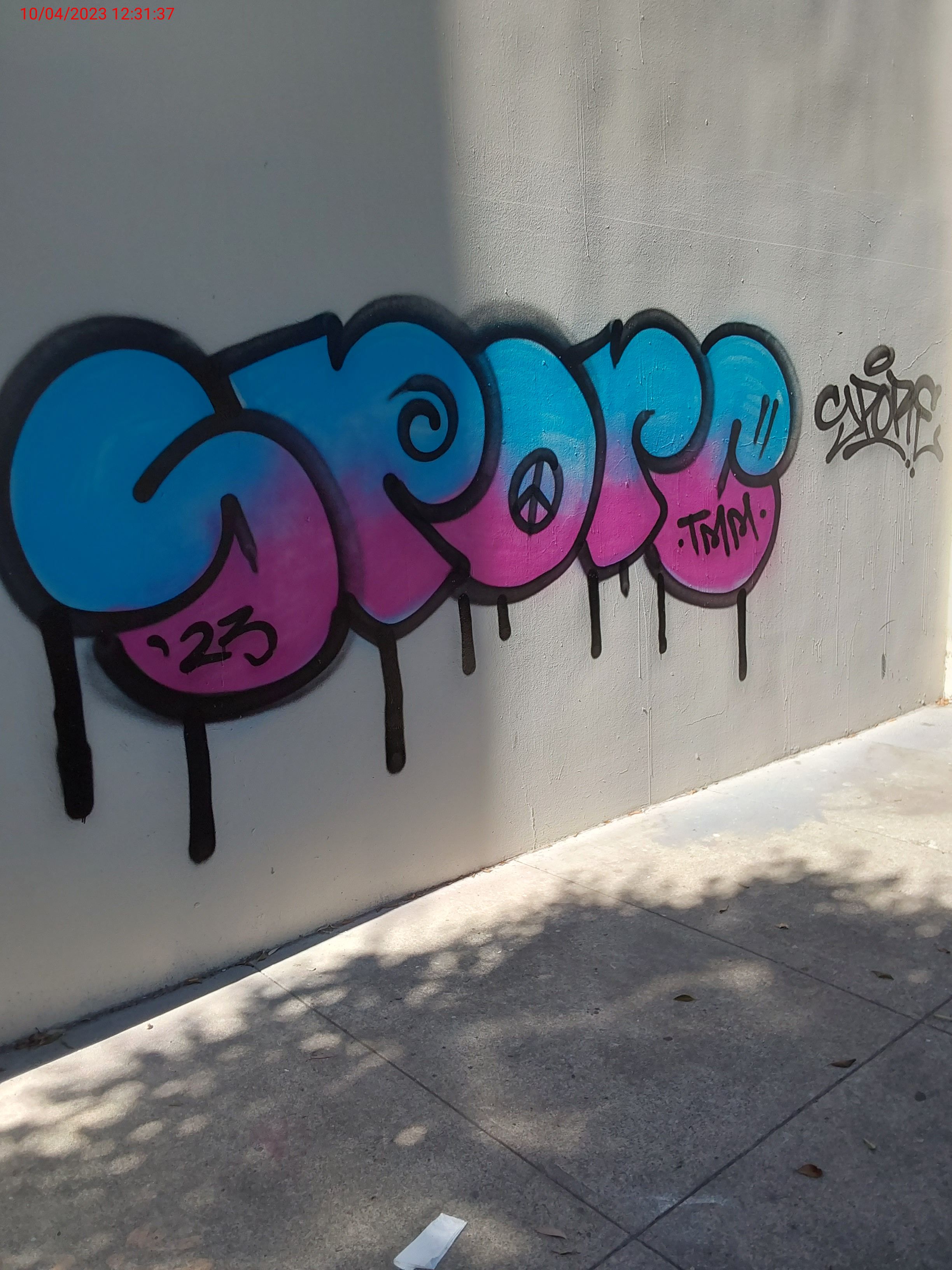 Graffiti at 298 SAN BRUNO AVE