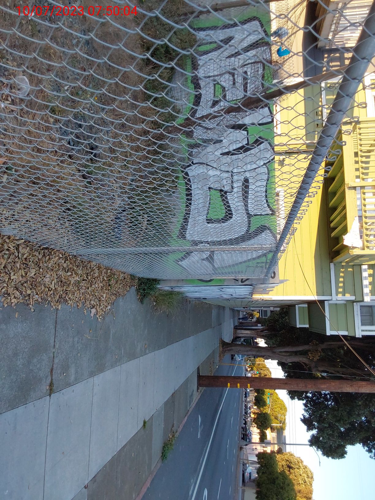 Graffiti at 816 Geneva Ave